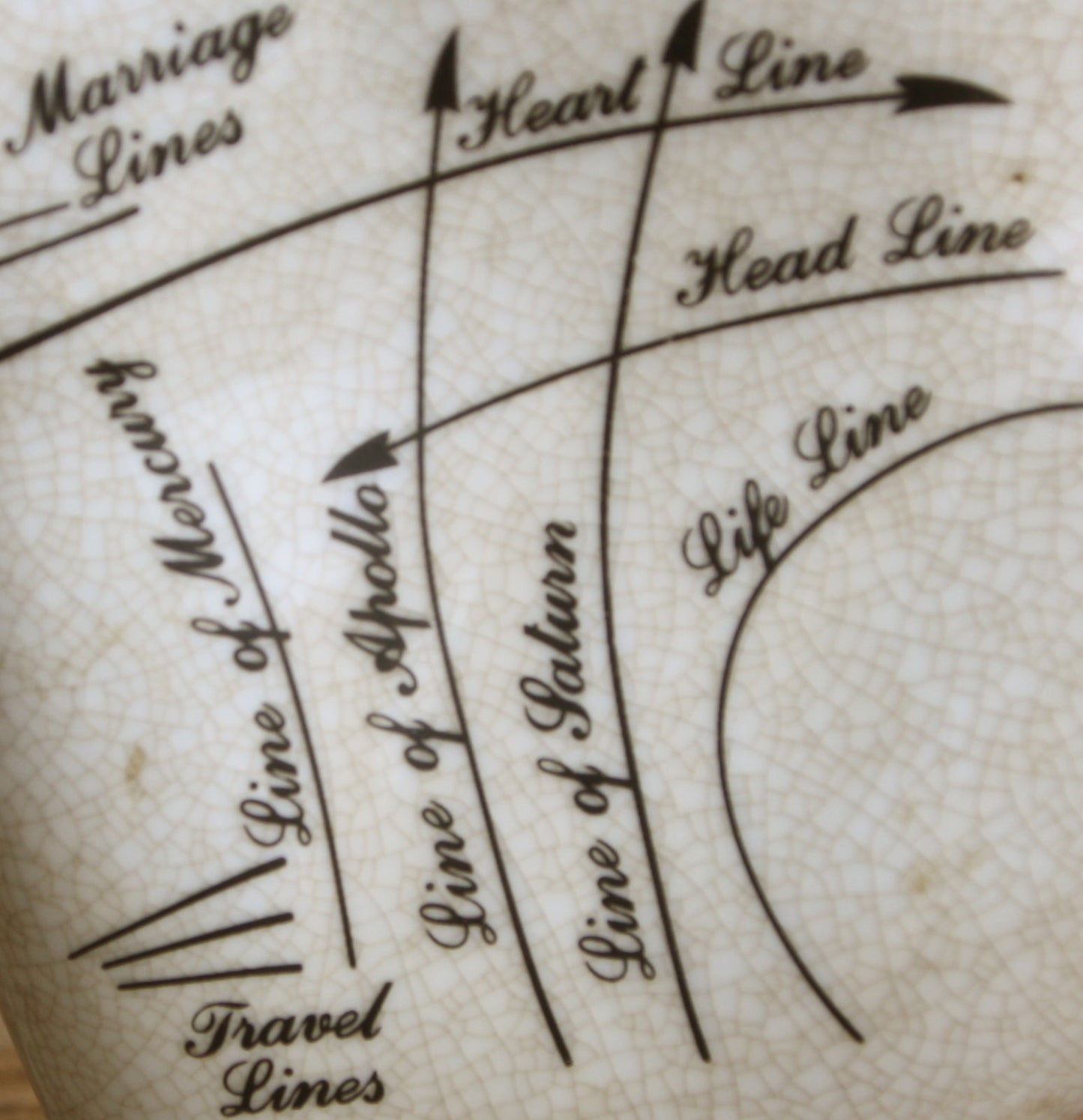 24cm Ceramic Palmistry Hand Fortune Telling Decor Astrology Gift