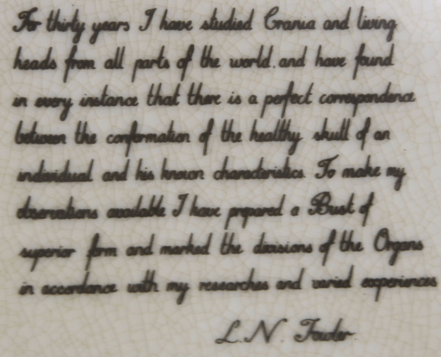 Small Ceramic Phrenology Head 19cm Decorative Bust