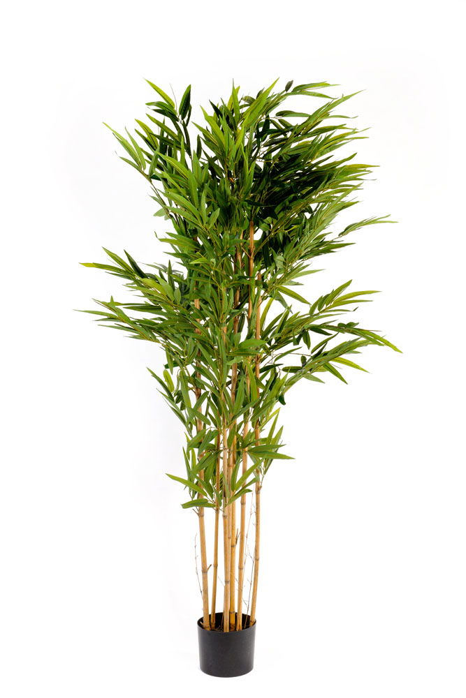 Artificial 6ft Bamboo Tree Realistic Faux Plant for Home Decor