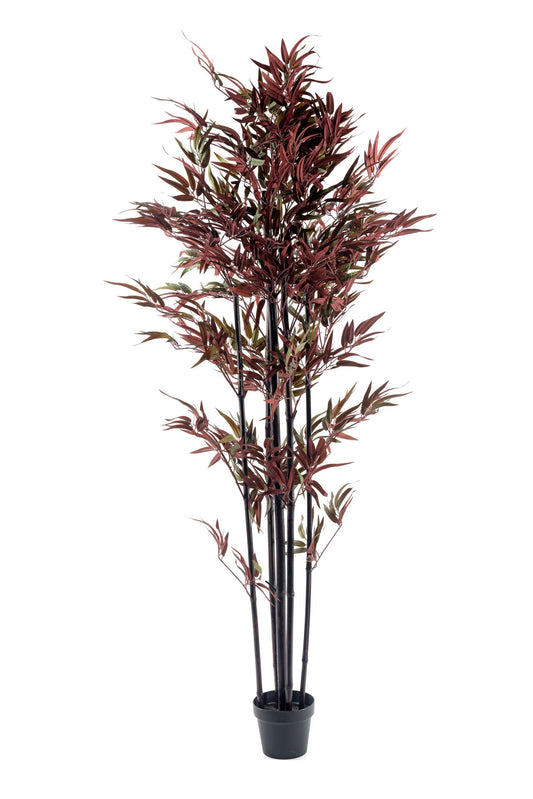 Bamboo Tree Red & Green 180cm Perfect for Home Decor Indoor Plant