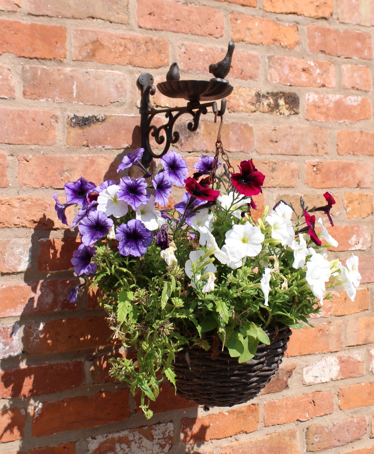 Cast Iron Wall Bracket Hanging Basket with Bird Feeder Garden Decor