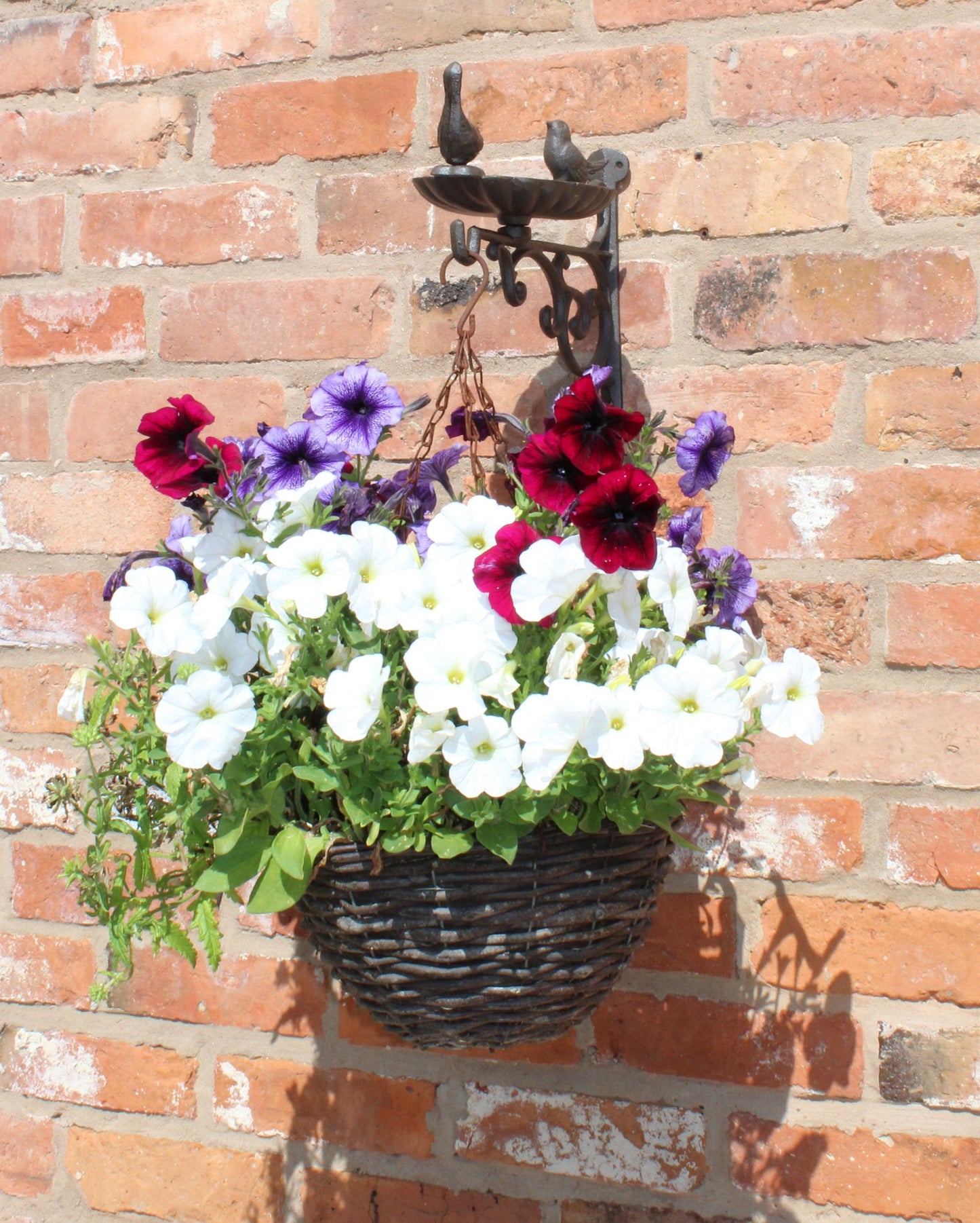 Cast Iron Wall Bracket Hanging Basket with Bird Feeder Garden Decor