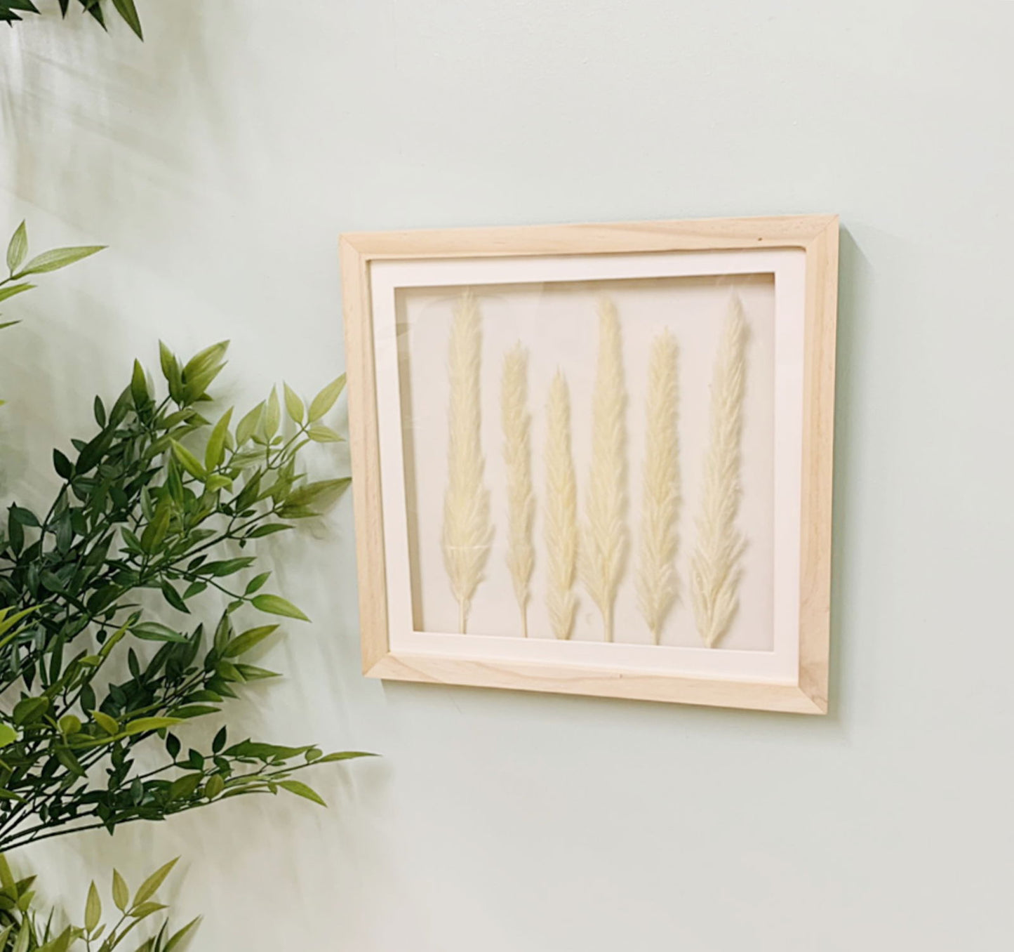 White Pampas Grass in Square Frame 31cm Decorative Home Decor