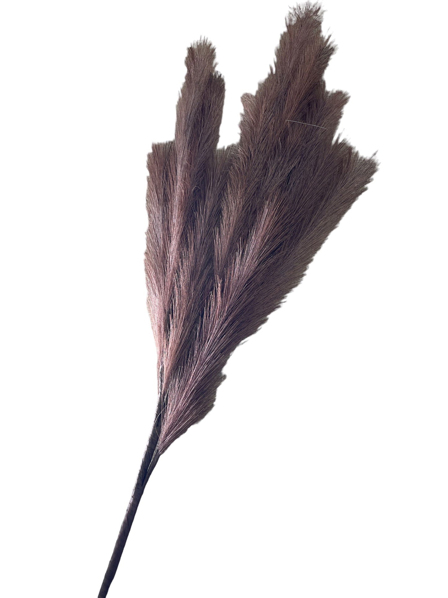 Artificial Pampas Grass Stem Brown & Cream 101cm Home Decor Boho Style