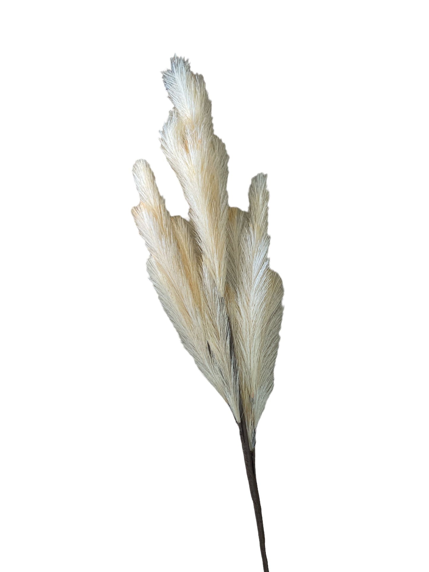 Artificial Pampas Grass Stem Brown & Cream 101cm Home Decor Boho Style