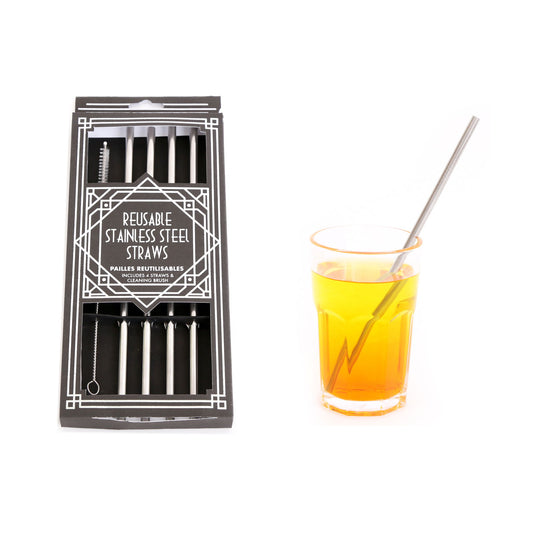 Reusable Stainless Steel Straws Set of 4 with Cleaning Brush