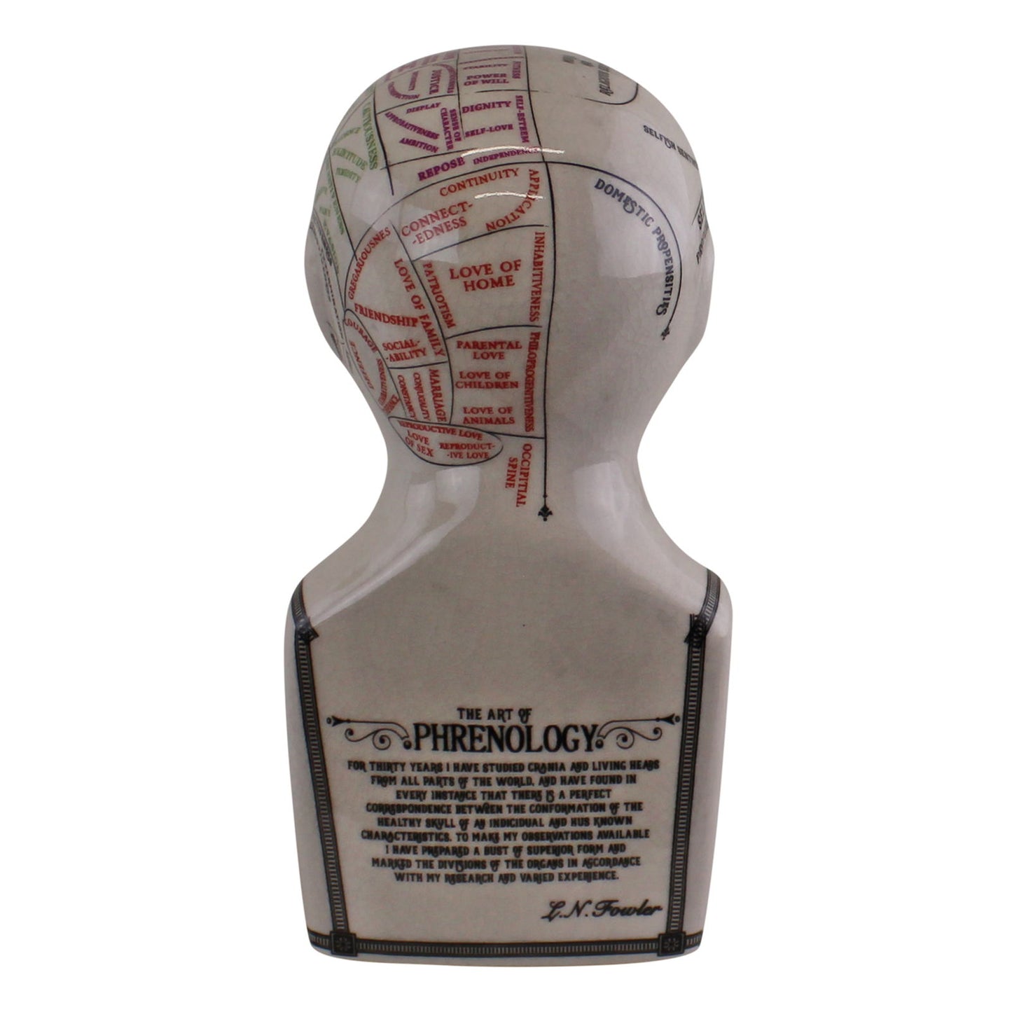 Unique Small Ceramic Phrenology Head Decorative Crackle Finish Perfect for Home Decor