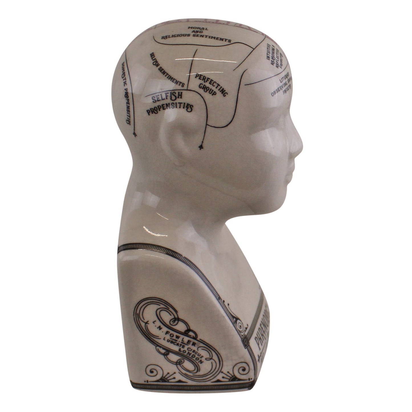 Unique Small Ceramic Phrenology Head Decorative Crackle Finish Perfect for Home Decor